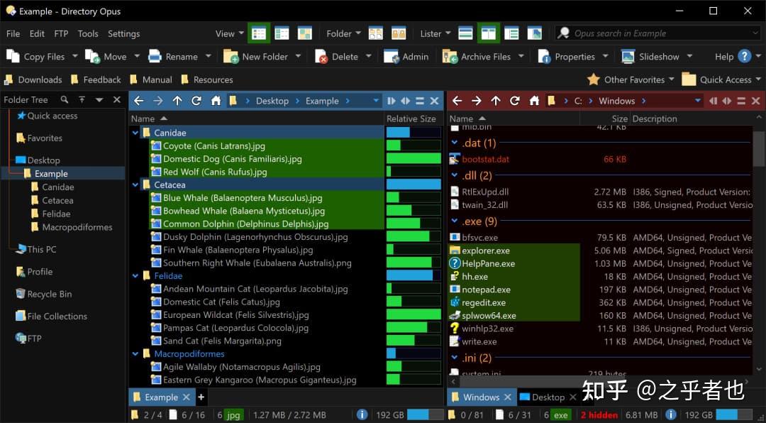 5款全面碾压的文件管理工具 - 知乎
