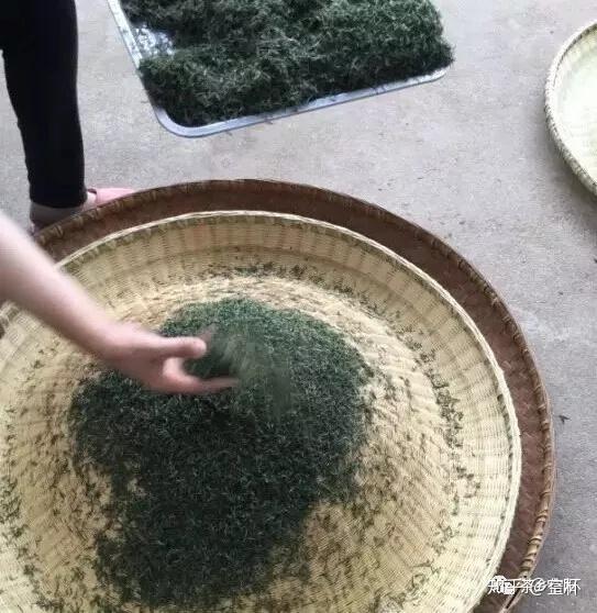 傳統信陽毛尖手工炒茶工藝