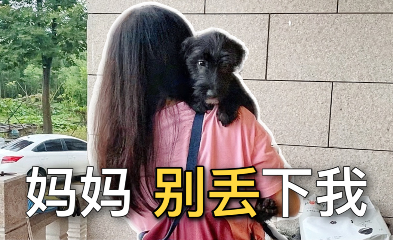 扑克转移(三分钟轻松学会的小魔术)
