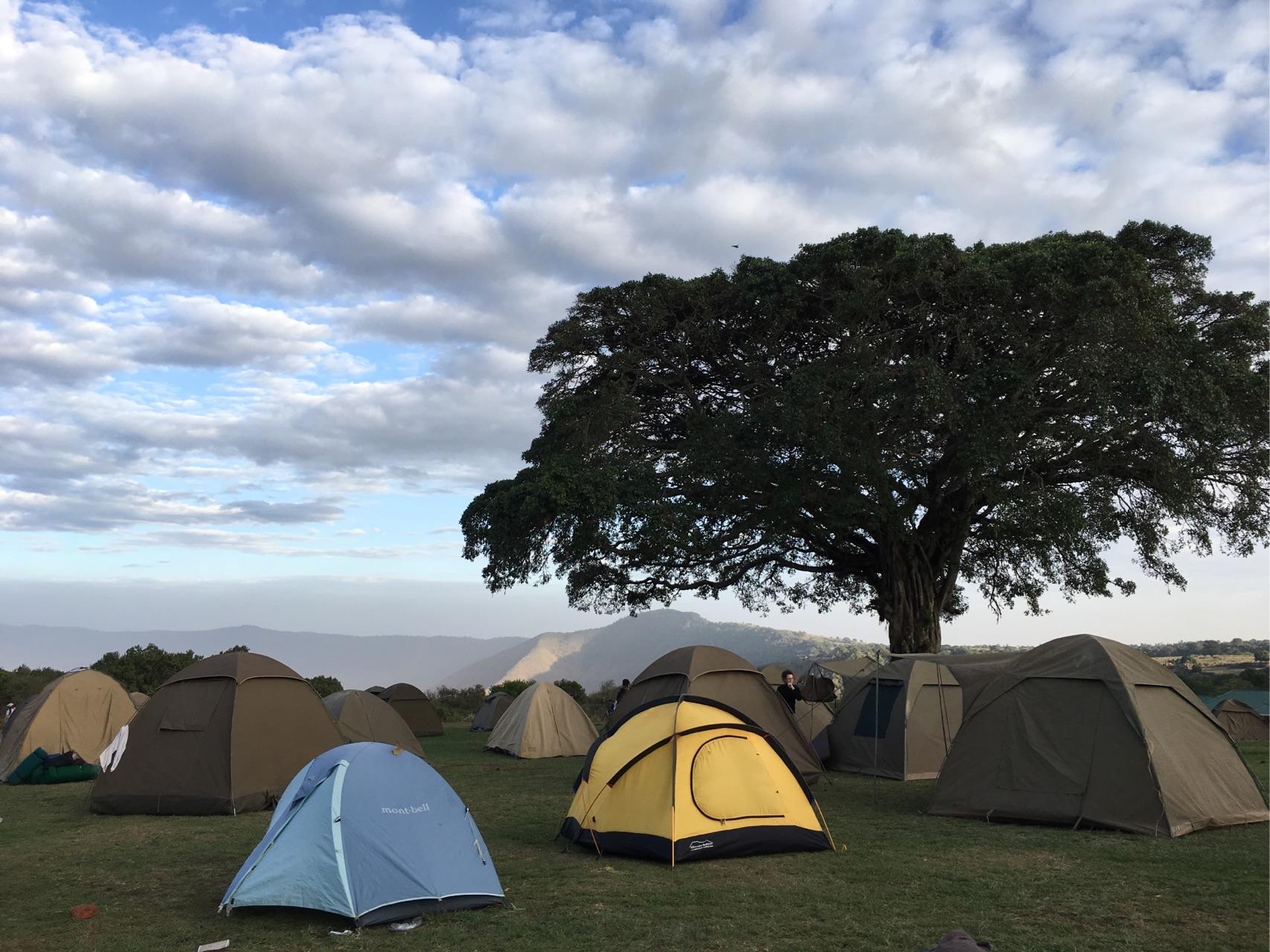 请问肯尼亚旅游找地接大约费用多少 camp到底