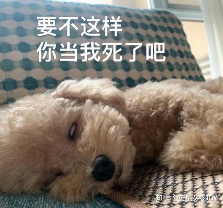 关于某宝的智商税!