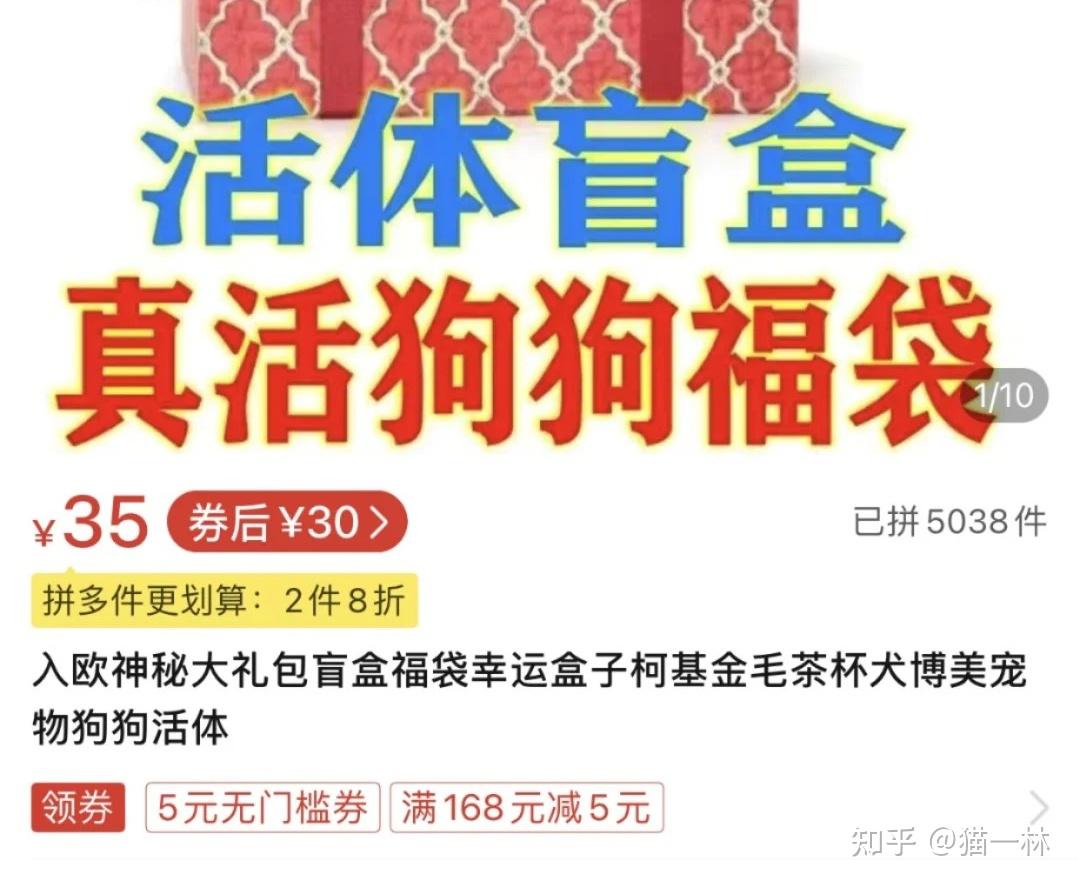 如何看待成都市区现宠物盲盒小猫小狗奄奄一息宠物盲盒这条产业链存在