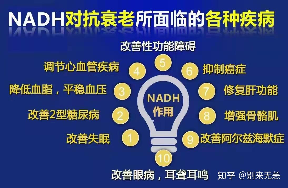 nadh線粒體素生命活力之源