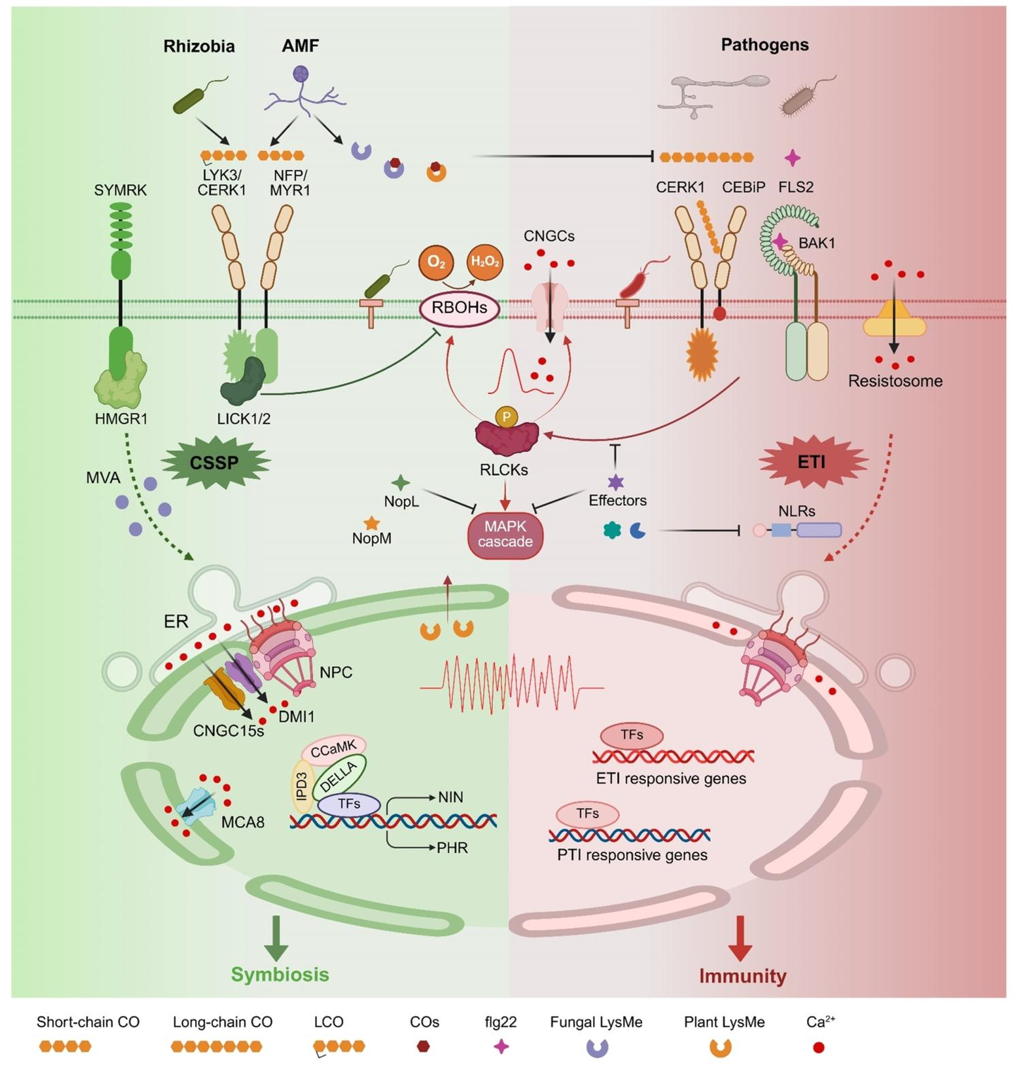 Cell host microbes 