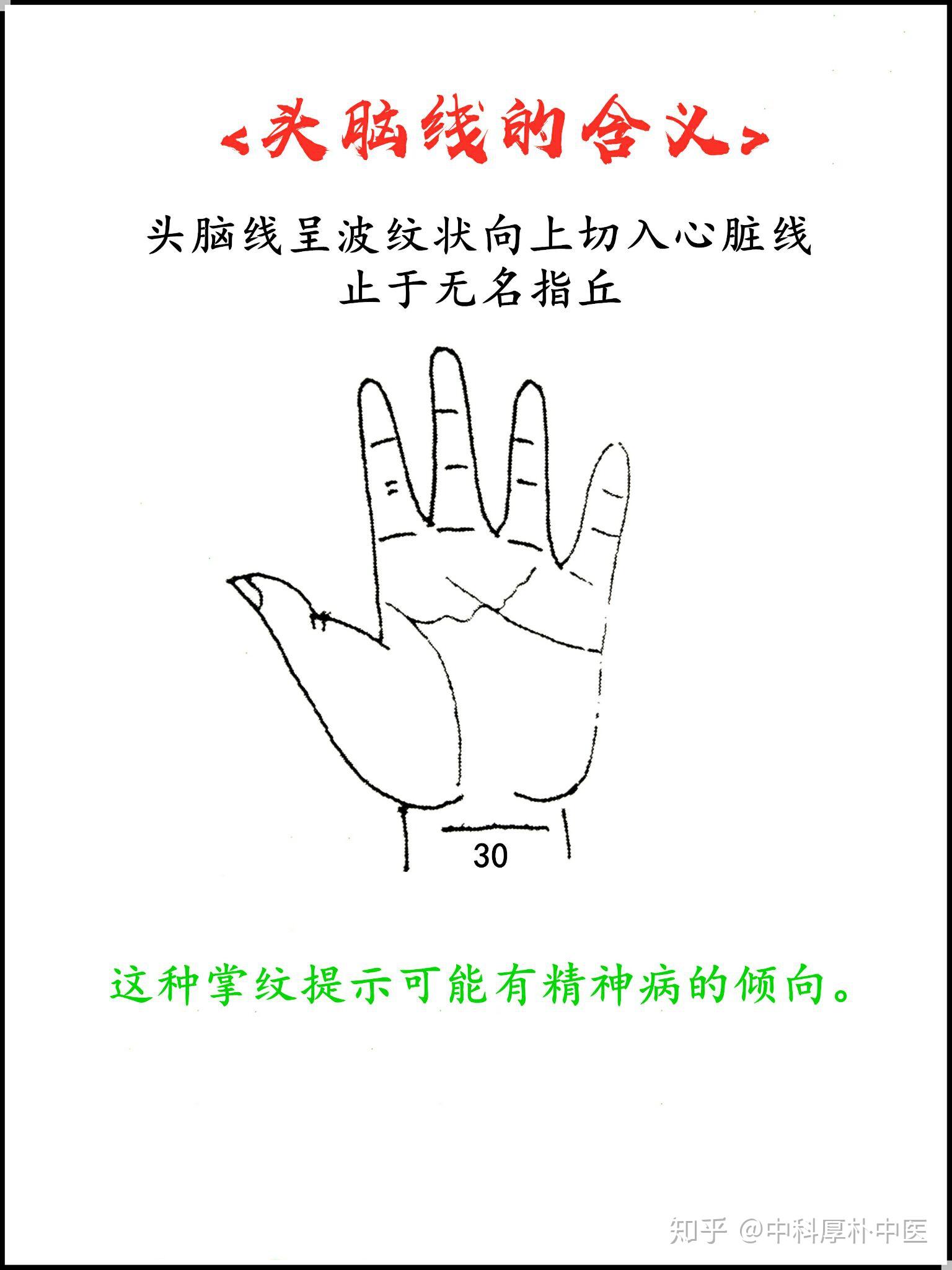 手诊图头脑线连载十五