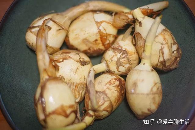 马蹄、荸荠、茨菇是同一种食物吗?很多人傻傻分不清,来看它们的区别! - 知乎