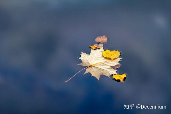 立秋 - 知乎