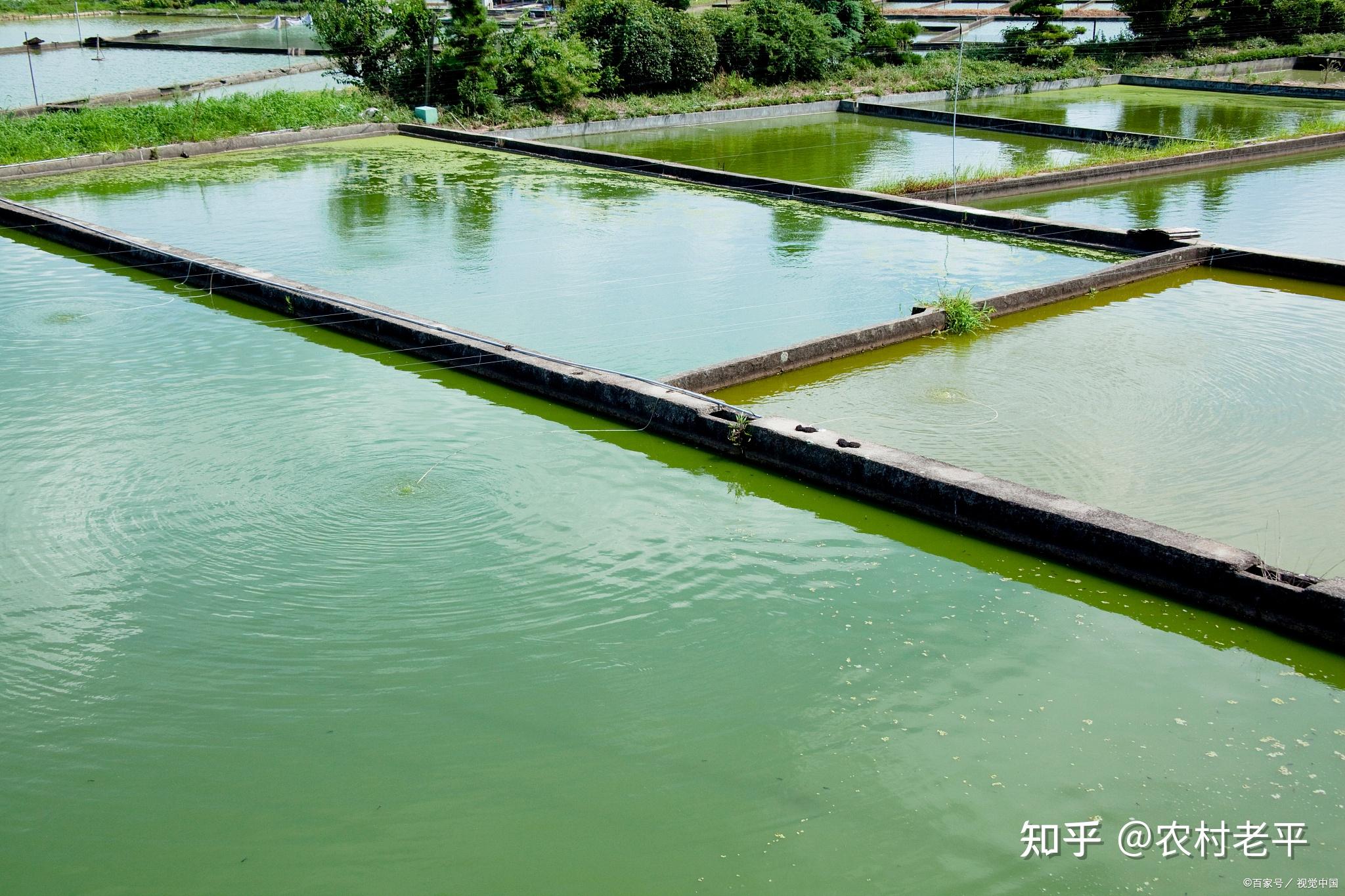 最強耕地整治來了魚塘林地全部還耕耕地建房也要全面拆除