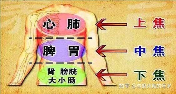 养身丨这处一堵,脏腑受苦!做3件事,通“排气要道”,补全身阳气 - 知乎