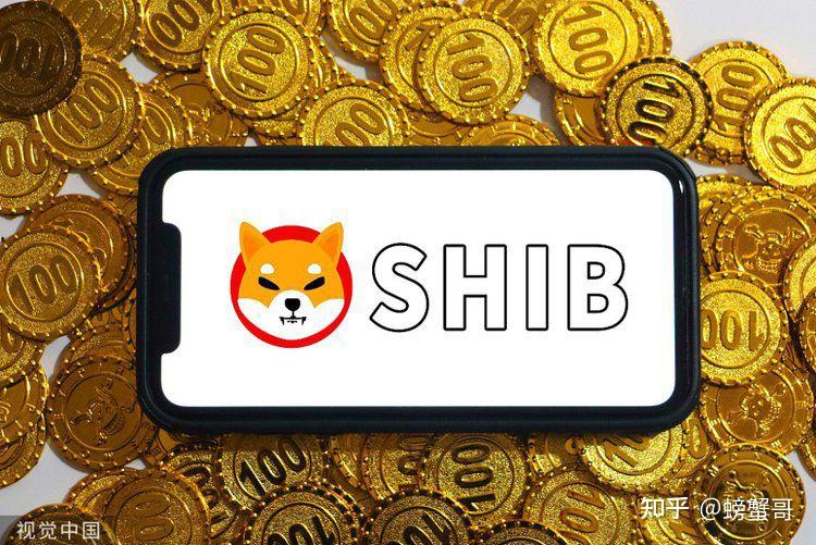 shib币未来前景