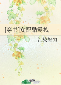 图标