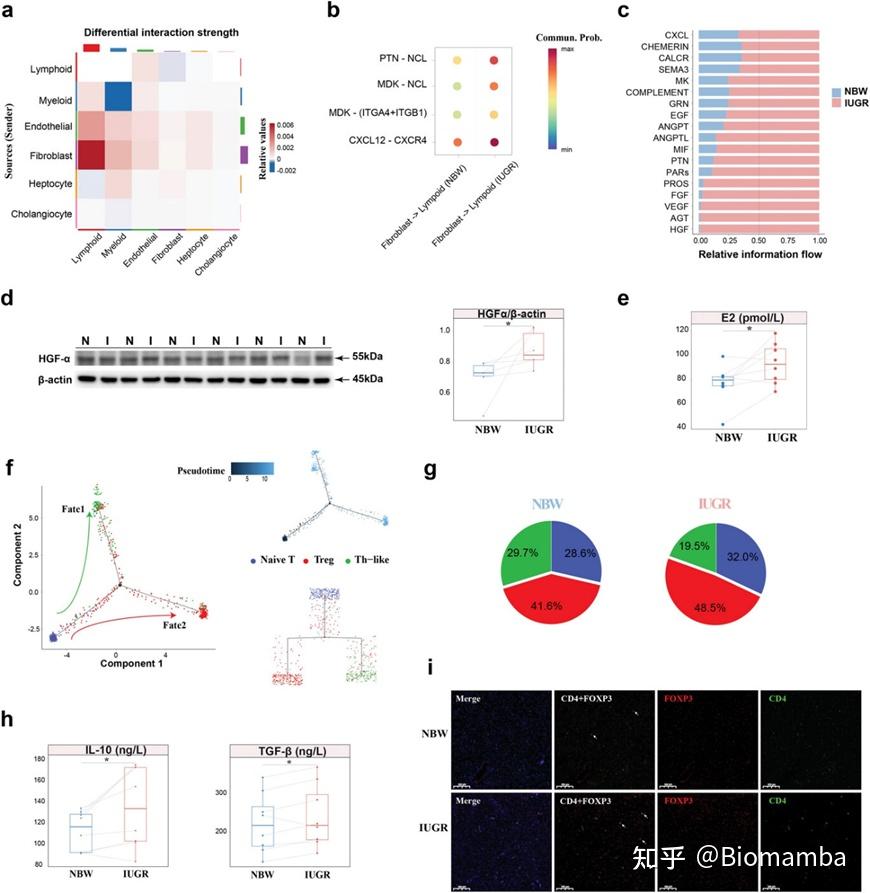 IF14.3| scRNA-seq+脂质组多组学分析揭示宫内生长受限导致肝损伤的性别差异 - 知乎