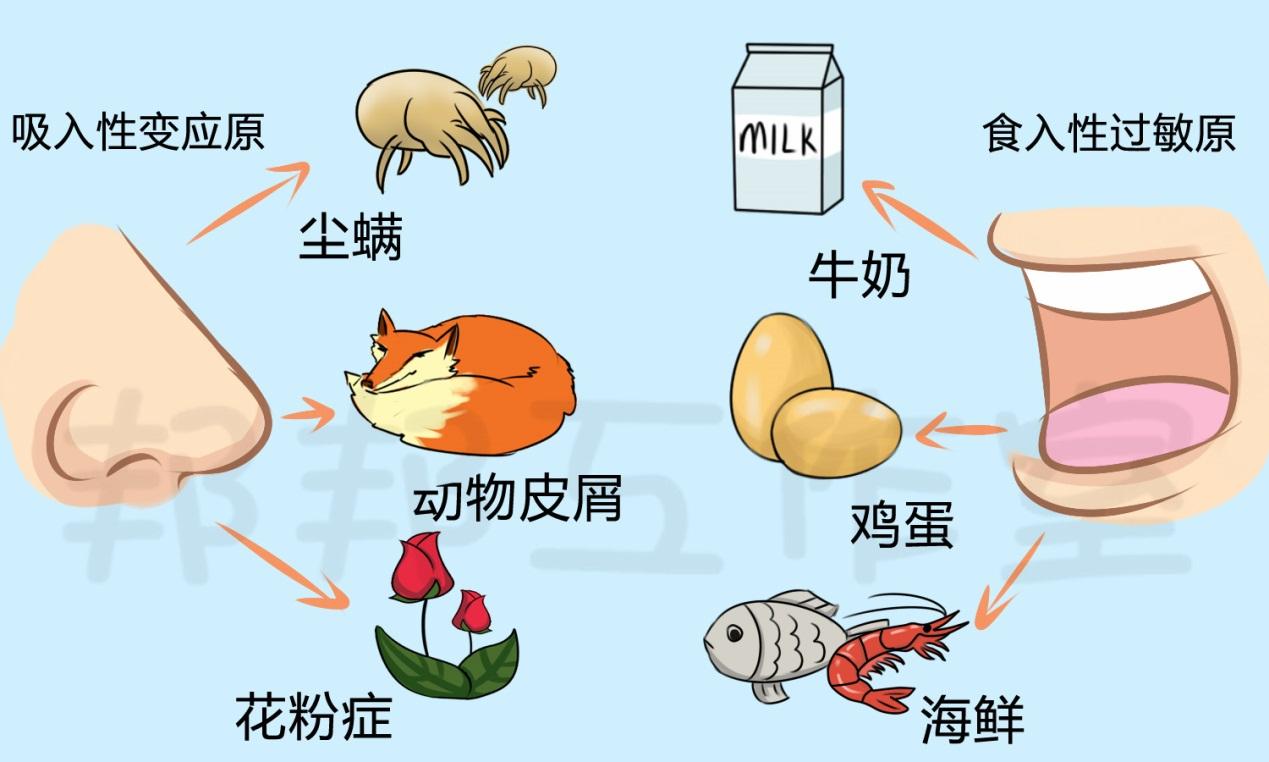 过敏性鼻炎怎么根治? - 知乎