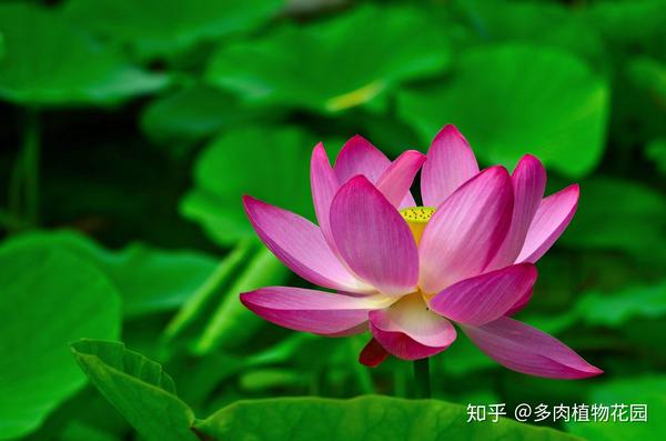 Wsr3equwofsinm Wsr3equwofsinm