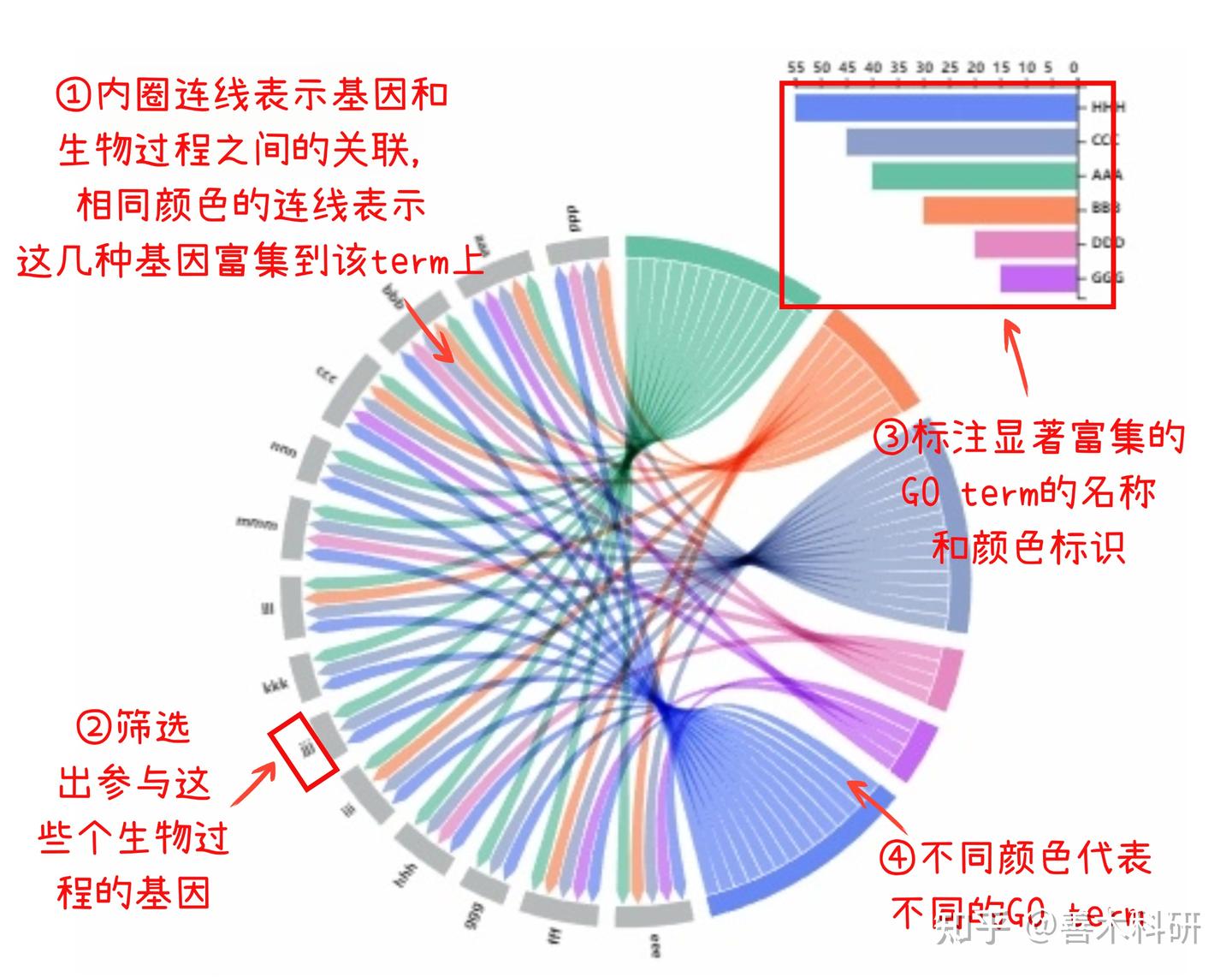 GO弦图怎么看? - 知乎