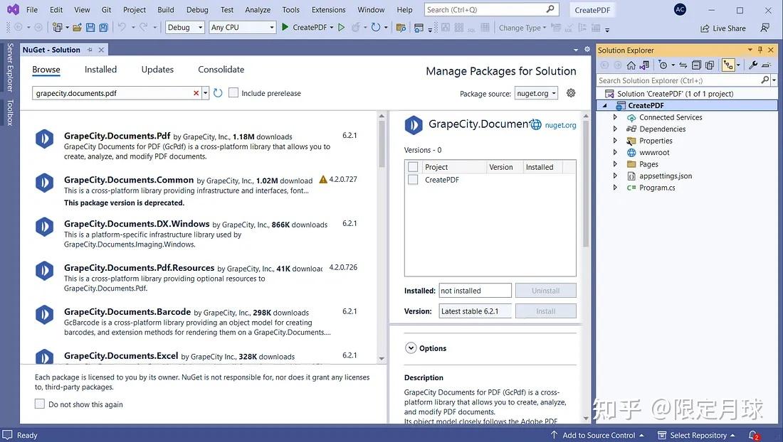  asp net core pdf 