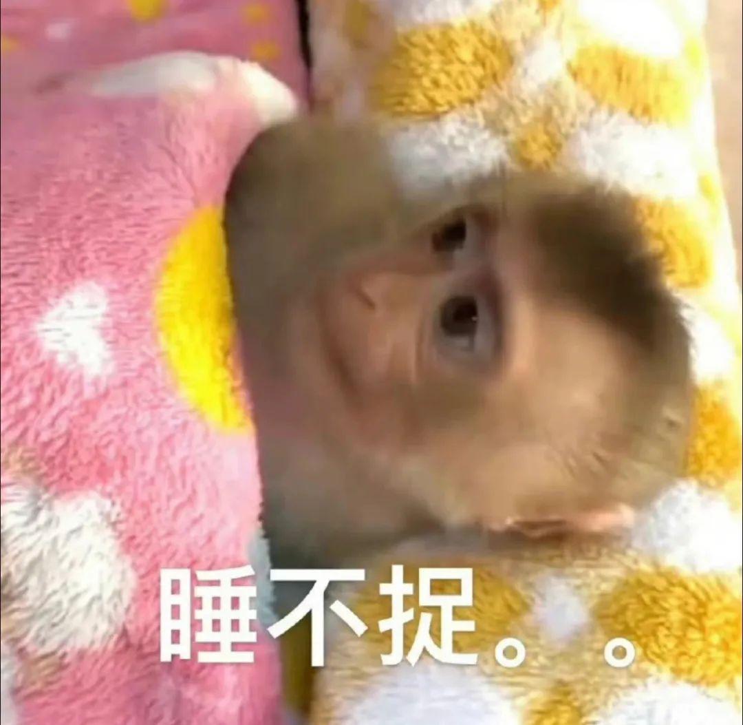 吗喽表情包来啦… - 知乎