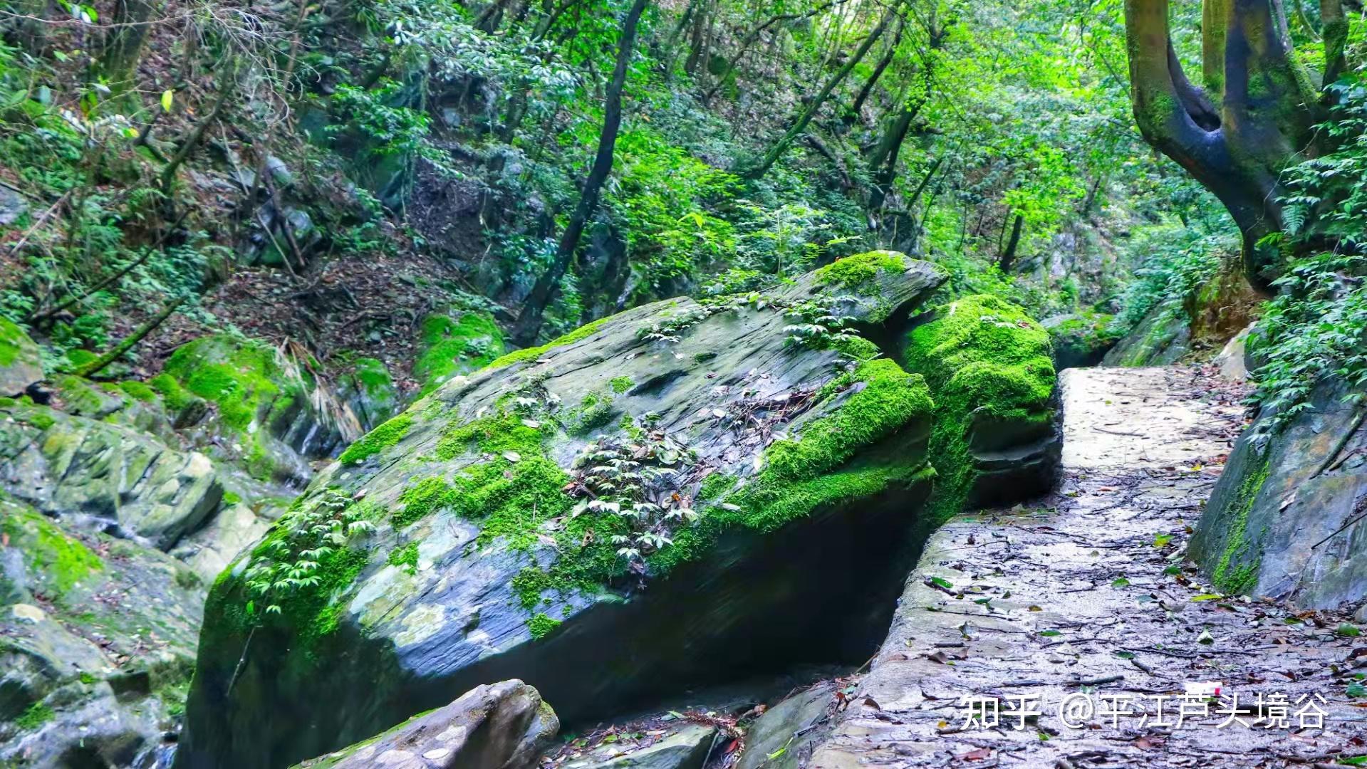 平江芦头境谷景区