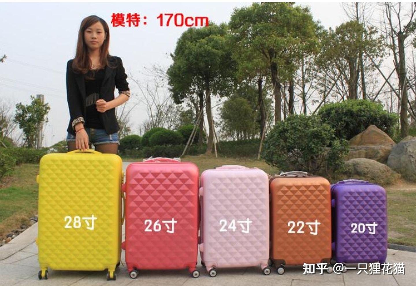 22寸行李箱与人对照图图片