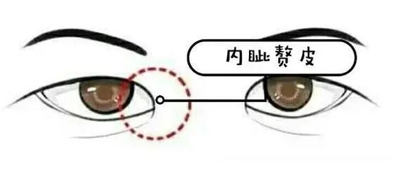 v2-a2f8c82bbe88c3fd4ac9fcbca4ef06d8_1440w.jpg?source=172ae18b