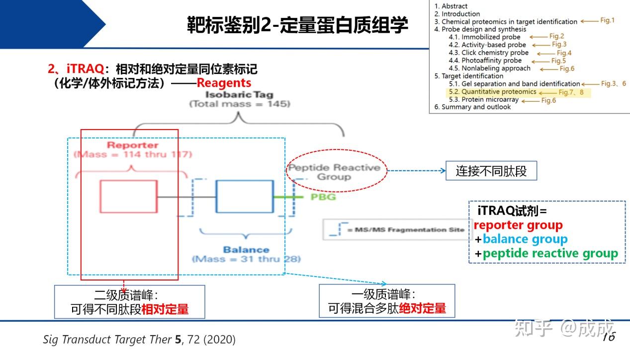 文献解读| 用化学蛋白质组学方法鉴定天然药物的靶标:探针合成、钓靶和蛋白质鉴定 - 知乎