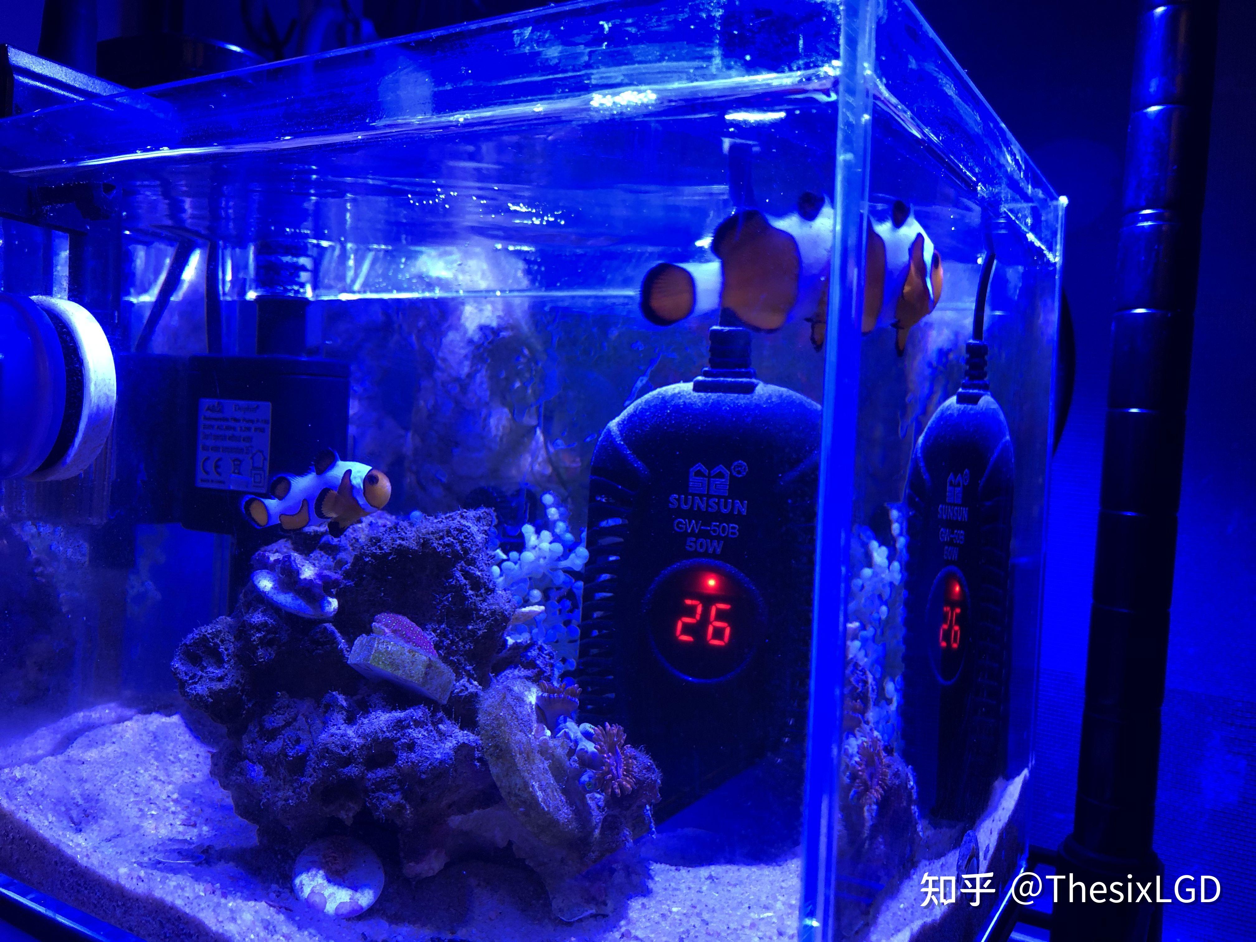 海水缸的一些基本硬件设备的选择 - 知乎