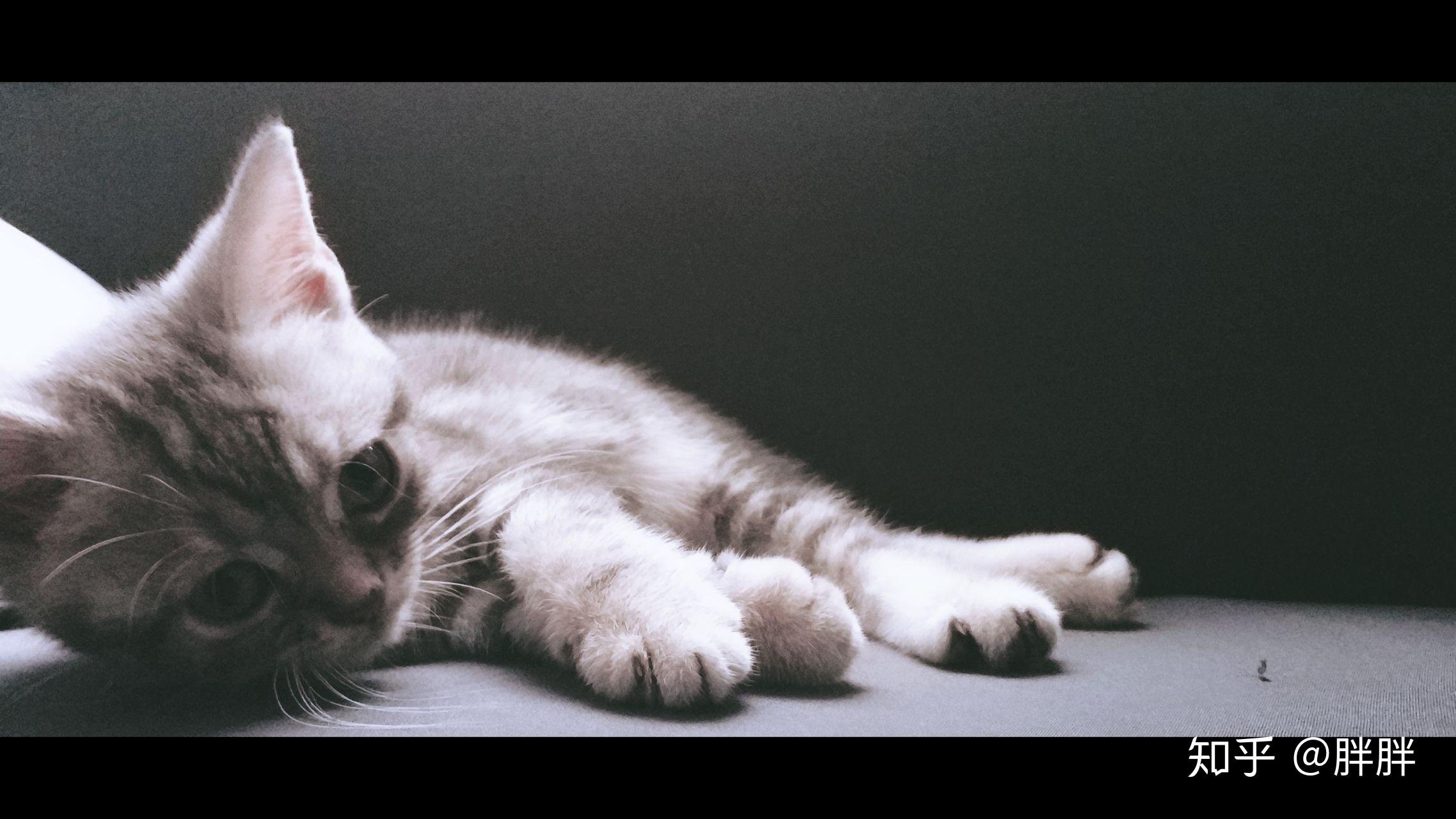 v2-a32e29c7bf5c553c065f0e586ed41895_r.jpg