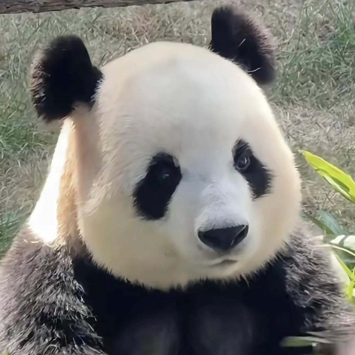 屋顶的海水