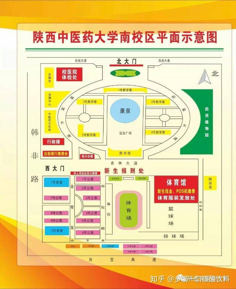 在陕西中医药大学就读是什么体验