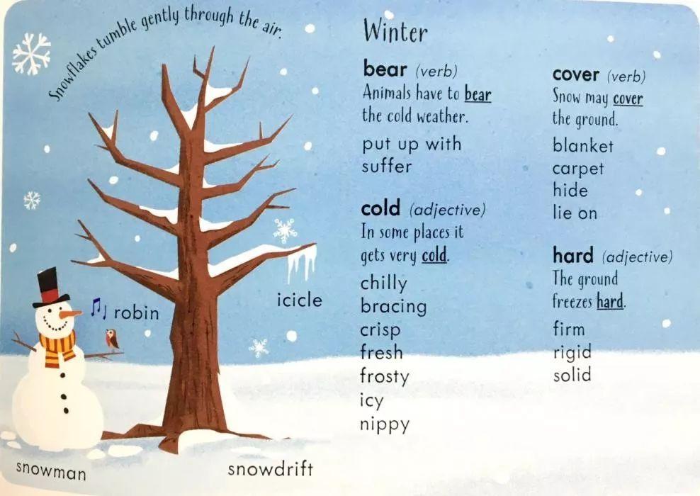 关于冬天的英语单词图片