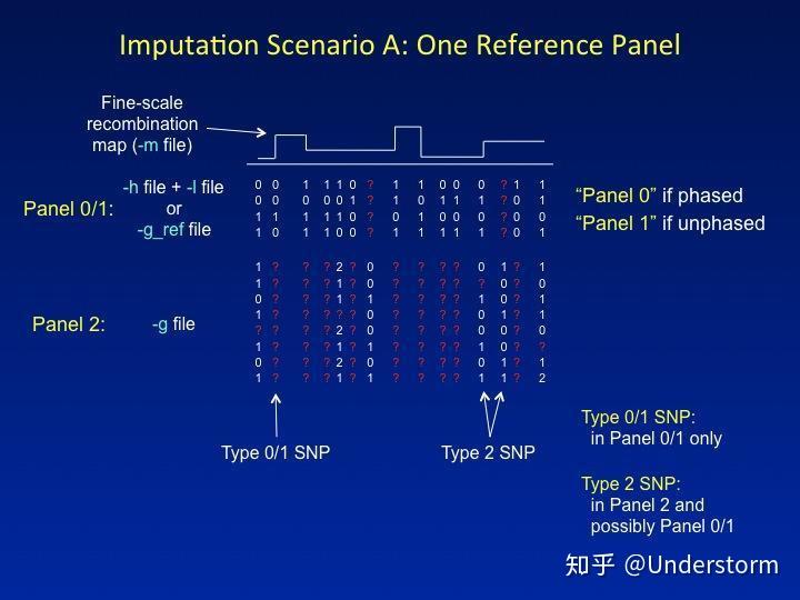 基因型填充(Genotype-Imputation):从原理到操作 - 知乎