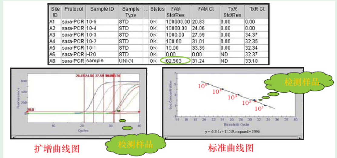 也谈绝对定量与相对定量