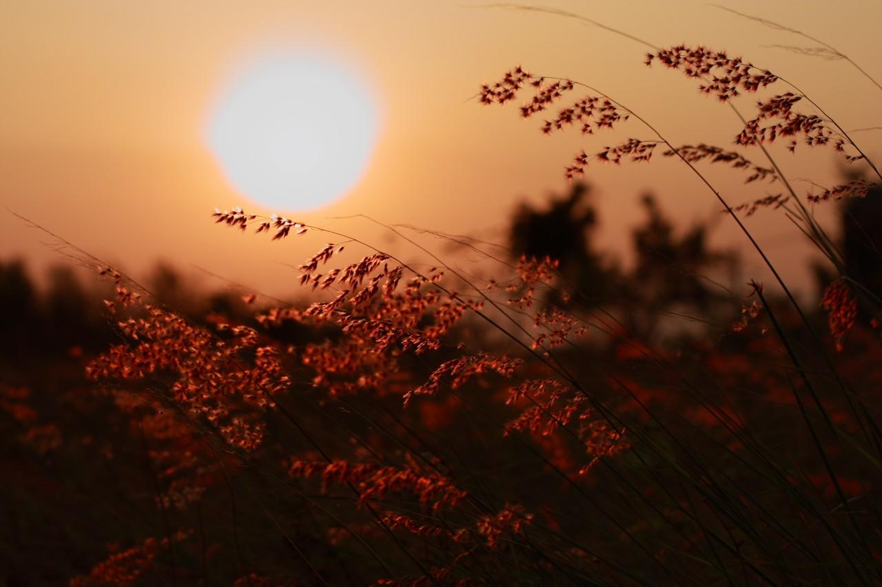 4成日本人都用错！「小春日和」究竟是什么意思？ 知乎