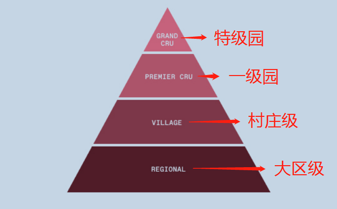 一文理清勃艮第葡萄酒分级制度