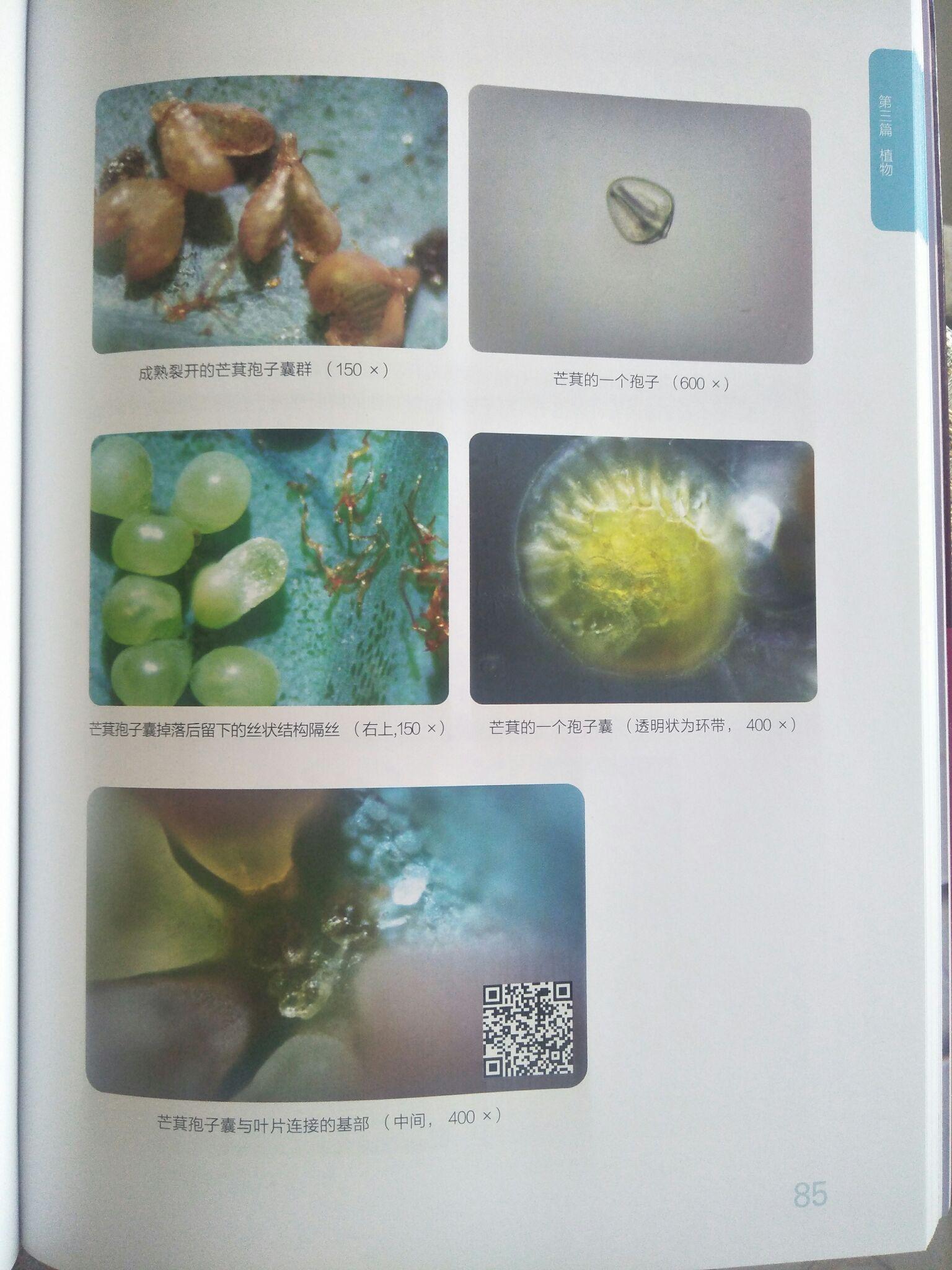 《探索微观世界》‖这本书带给我们的是轻易感受不到的震撼