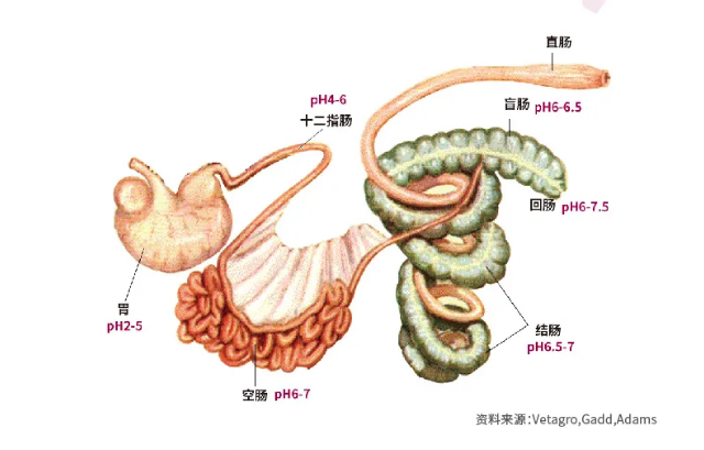 v2-a37cfaeda856d150a6567d9dbe72e6a6_1440w.jpg?source=172ae18b