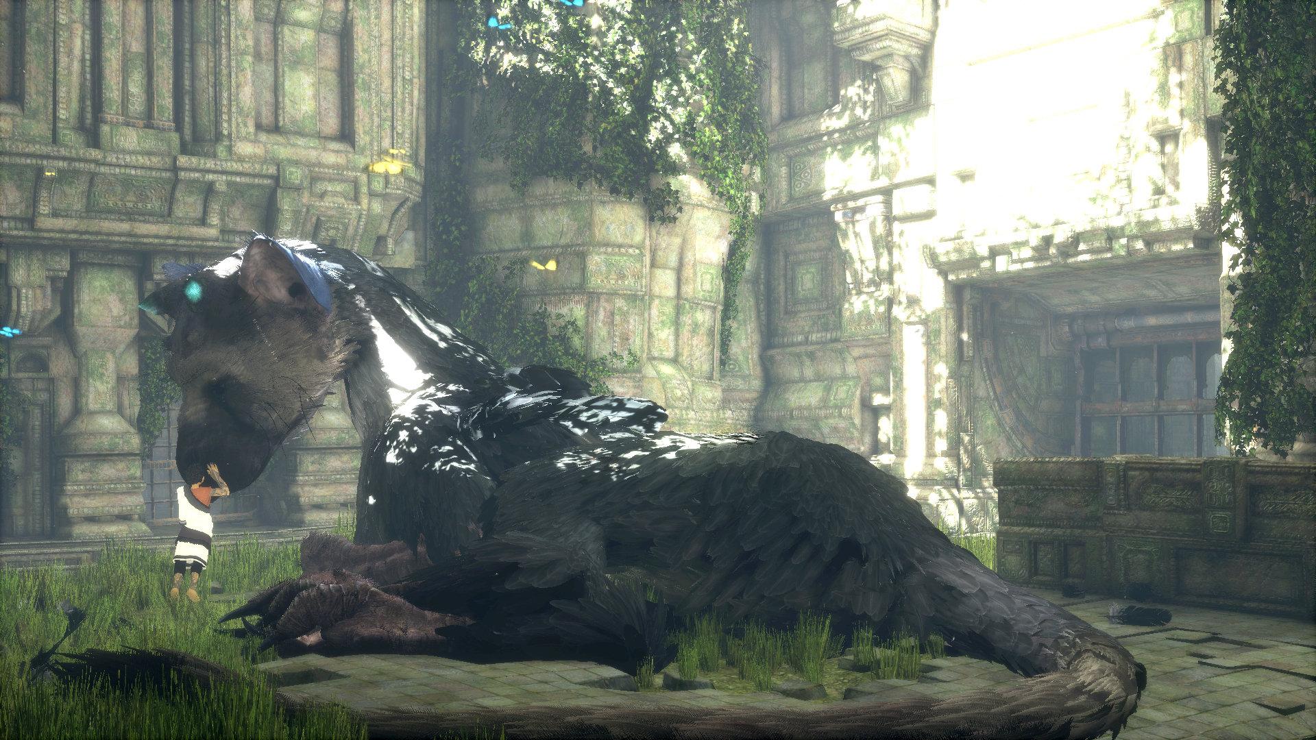 如何评价游戏《最后的守护者》(the last guardian)?
