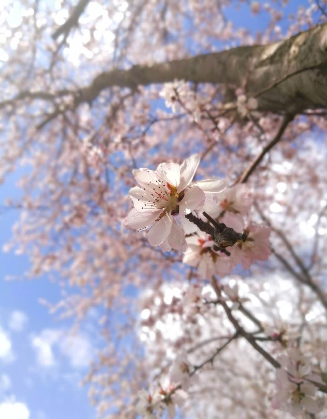 韩语入门学习必备-韩语书安利