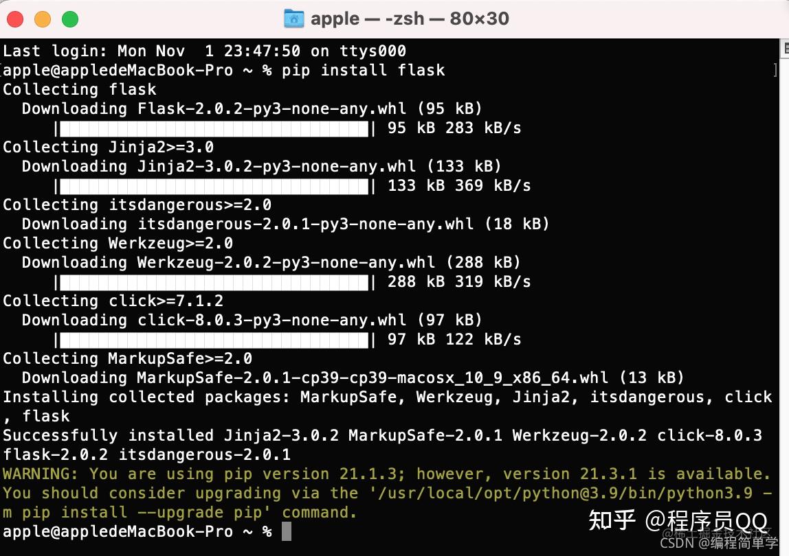  python flask 