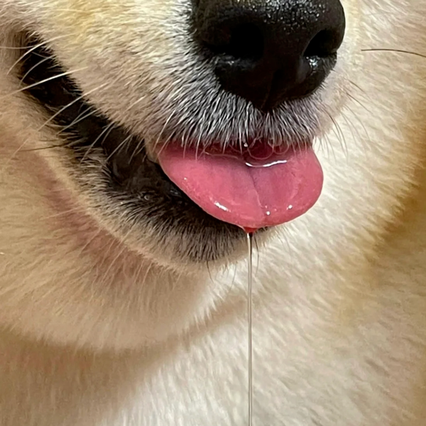 100张沙雕图片或表情包 - 知乎