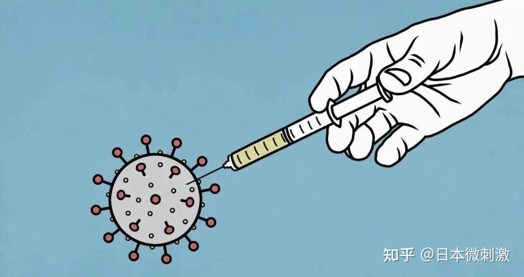 什么是风疹病毒igg抗体 v2-a3a4887450cbfb9e2aa46bafd8c9fe01_r.jpg