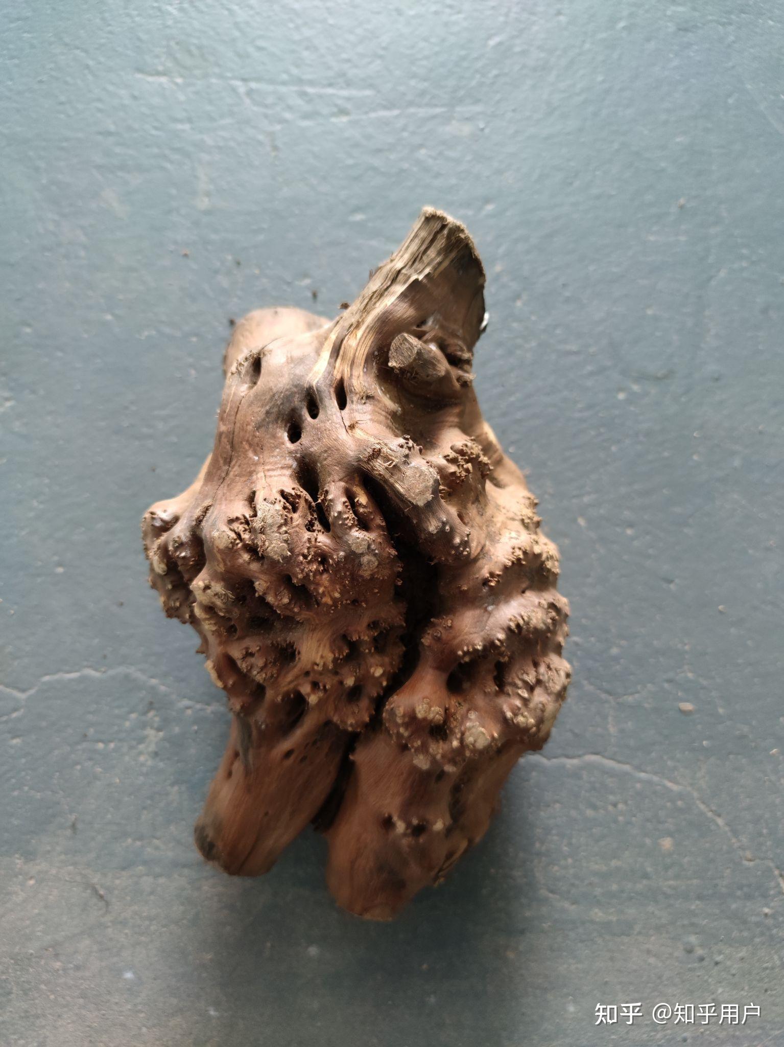 这样的木头疙瘩用什么工具打磨 - 知乎