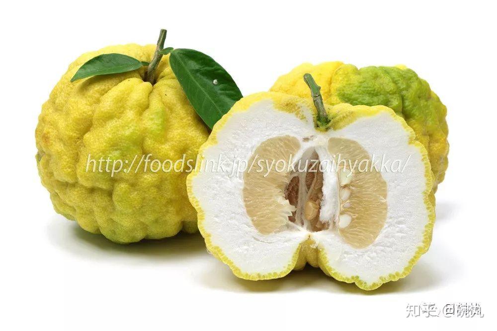 日本柚子 | 它，它，它，居然不是柚子，而是橙？！ - 知乎