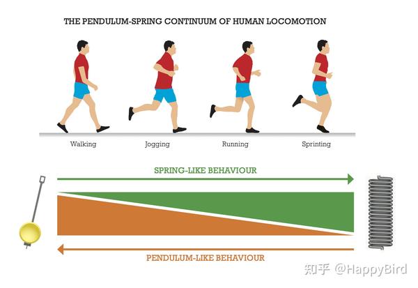 关于跑步 walk, jog, run, sprint - 知乎