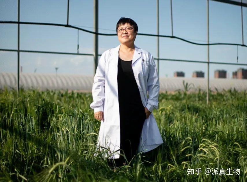 国内首次！高彩霞团队成果入选Nature发布2024年值得关注的七大技术 - 知乎