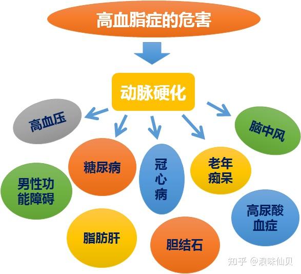 瘦人也会高血脂血脂高不高看脸就知道