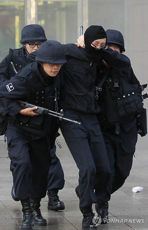 韩国警察全解上警察制度与组织架构