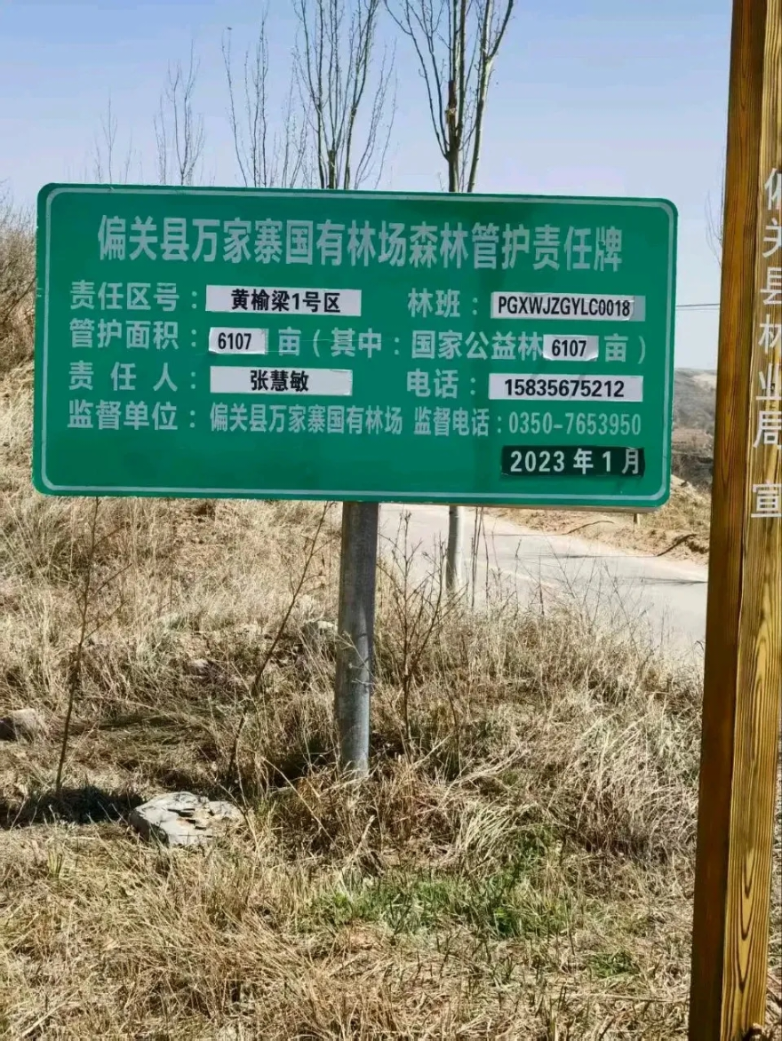 忻州市偏关县晋林光伏发电项目遭实名举报 存在多项违规问题(图1)