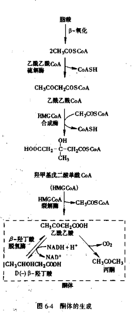 v2-a3d044e2965889b64e6513b1007223c1_b.jpg