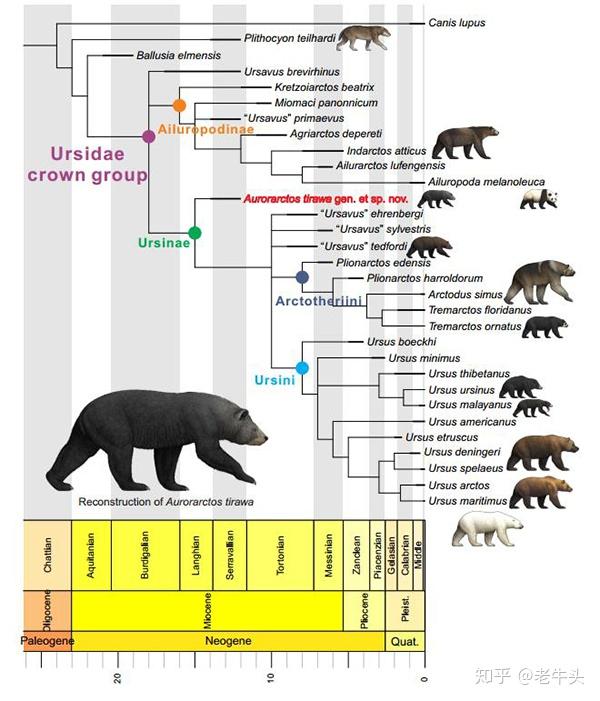 古生物新闻(2020年6月22日-7月5日)